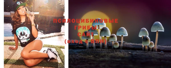 гидра Каменск-Шахтинский