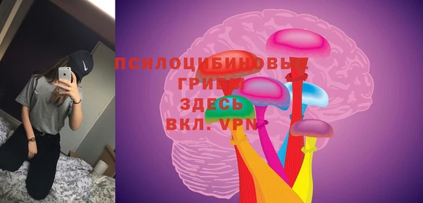 ешки Каменка