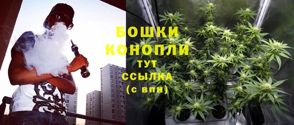 гидра Каменск-Шахтинский