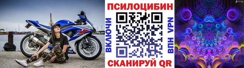 Псилоцибиновые грибы Psilocybine cubensis Купить Белокуриха